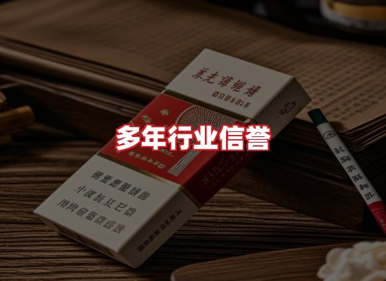 专业团队